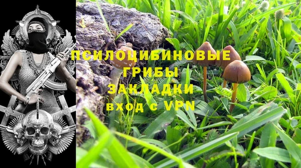 ECSTASY Волосово