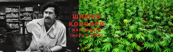 ECSTASY Волосово
