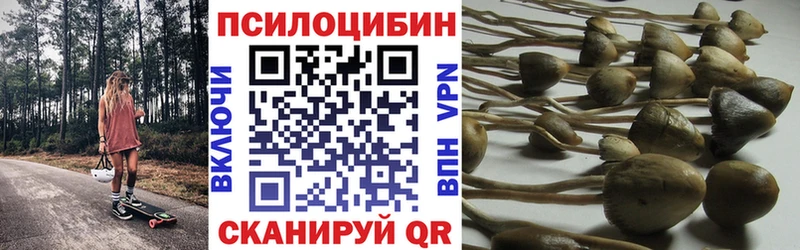Купить закладки  Отрадное  Галлюциногенные грибы мицелий 