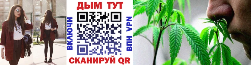 Шишки марихуана Amnesia  Купить где  Отрадное 